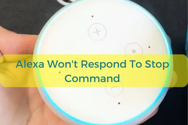 Alexa Won't Respond To Stop Command