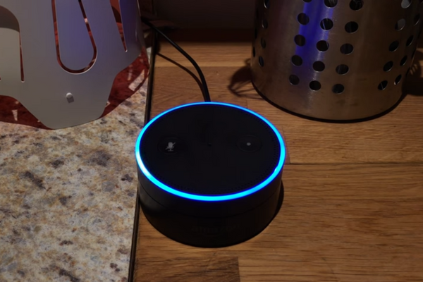 Alexa Green Light Blinking