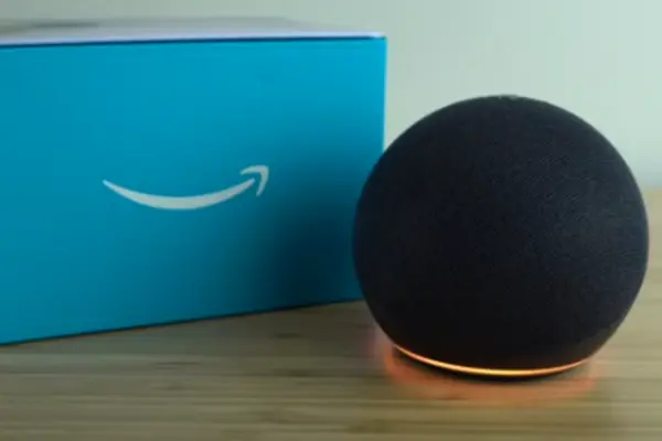 Alexa Not Responding And Not Lighting Up