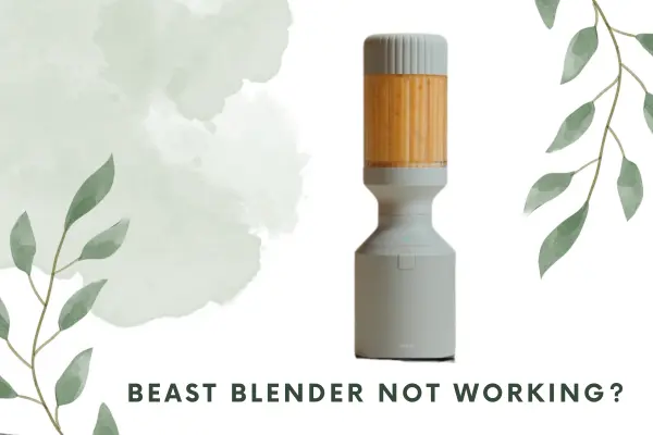 Beast blender not working