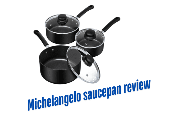 Michelangelo saucepan review